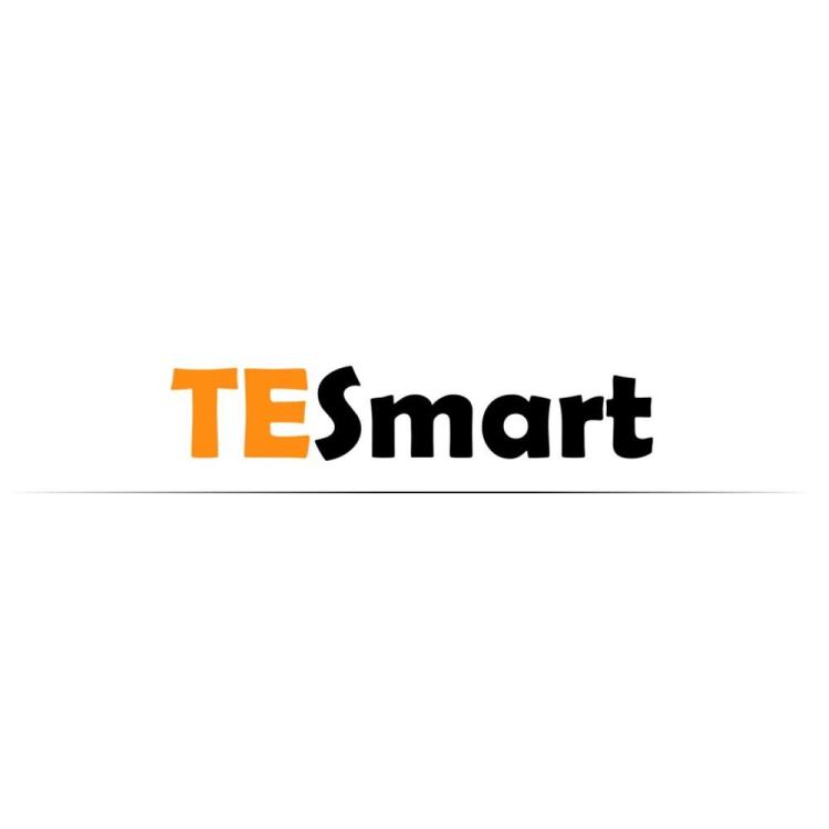 299669186 387320340210166 7360255647321236283 n 5 750x720 - Extra 10% off on your order at TESmart