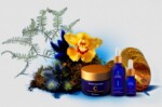 A collection of skincare products displayed with natural elements like plants and a slice of citrus.