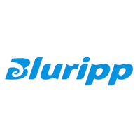 Logo of "bluripp" featuring stylized blue text on a white background.